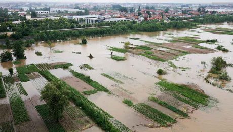 Çin Kültür Merkezi