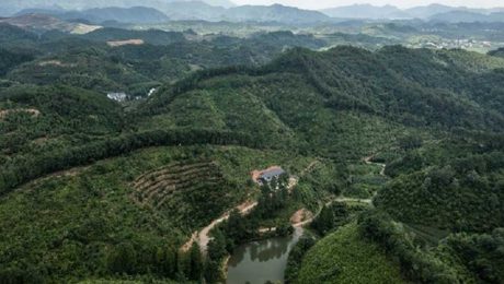 Çin Kültür Merkezi