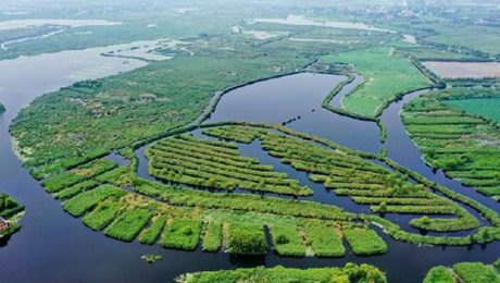 Çin Kültür Merkezi