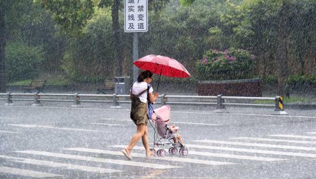 Çin Kültür Merkezi