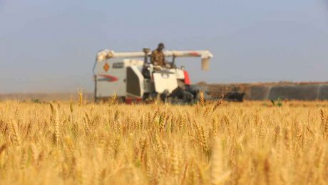 Çin Kültür Merkezi