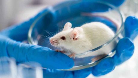 Çin Kültür Merkezi