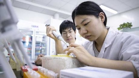 Çin Kültür Merkezi