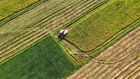 Çin Kültür Merkezi