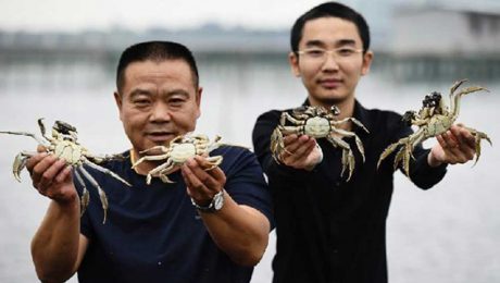 Çin Kültür Merkezi