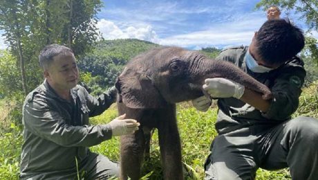 Çin Kültür Merkezi