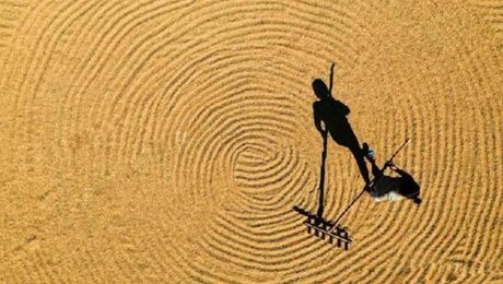 Çin Kültür Merkezi