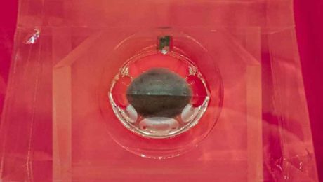 Çin Kültür Merkezi