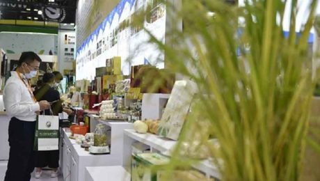 Çin Kültür Merkezi