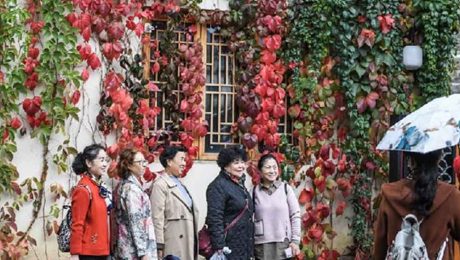 Çin Kültür Merkezi