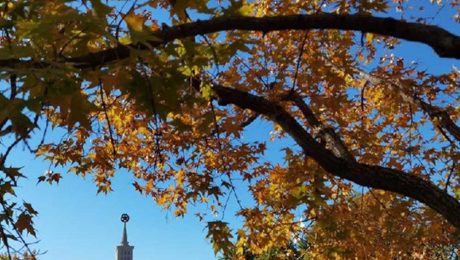 Çin Kültür Merkezi