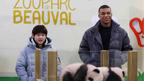 Çin Kültür Merkezi