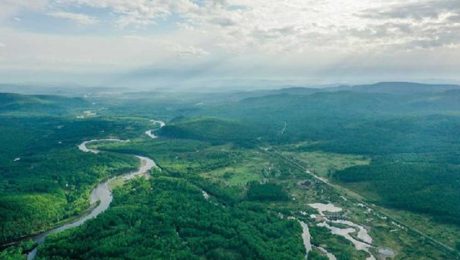 Çin Kültür Merkezi