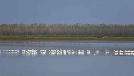 Çin Kültür Merkezi
