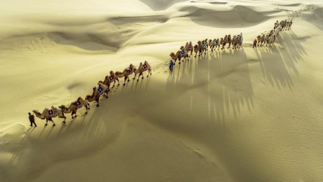 Çin Kültür Merkezi