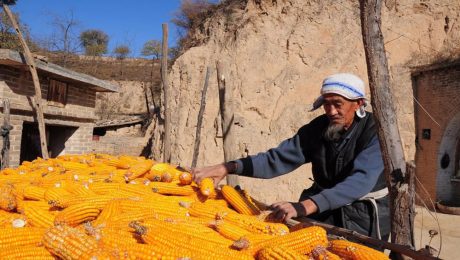 Çin Kültür Merkezi