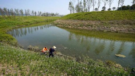 Çin Kültür Merkezi