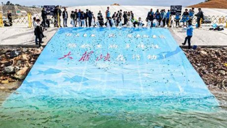 Çin Kültür Merkezi