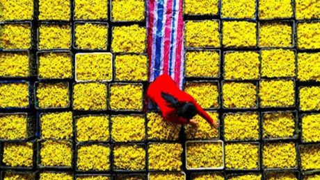 Çin Kültür Merkezi