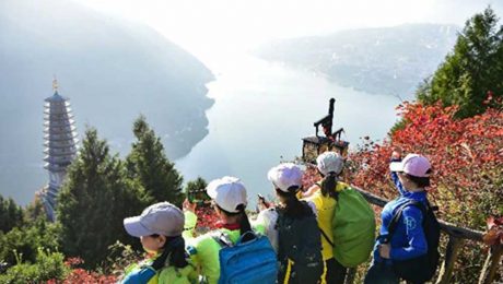 Çin Kültür Merkezi