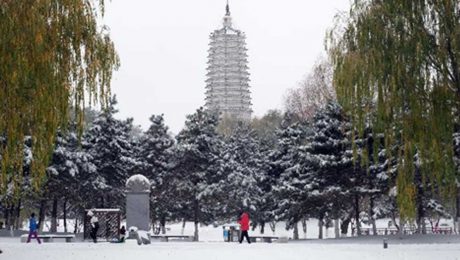 Çin Kültür Merkezi