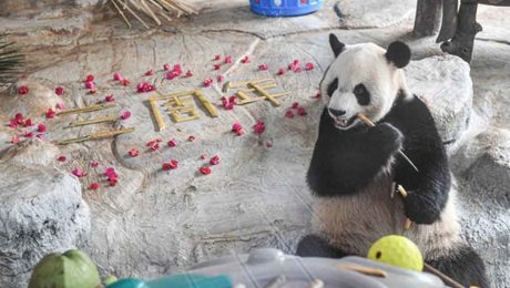 Çin Kültür Merkezi