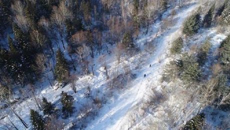 Çin Kültür Merkezi