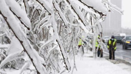 Çin Kültür Merkezi