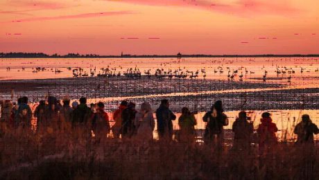 Çin Kültür Merkezi