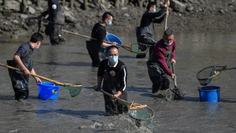 Çin Kültür Merkezi