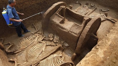 Çin Kültür Merkezi