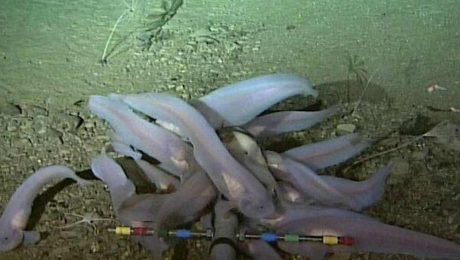 Çin Kültür Merkezi