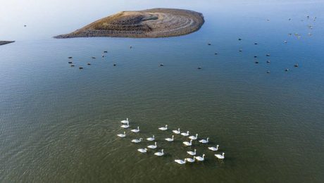 Çin Kültür Merrkezi