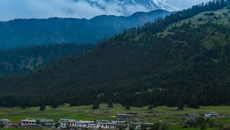 Çin Kültür Merkezi