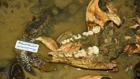 Çin Kültür Merkezi