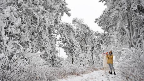 Çin Kültür Merkezi