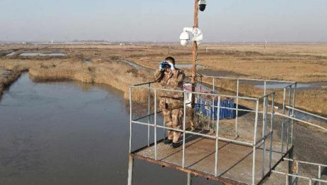 Çin Kültür Merkezi