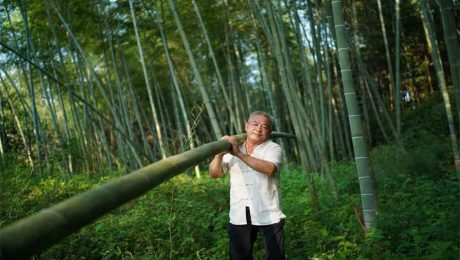 Çin Kültür Merkezi