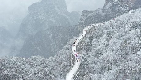 Çin Kültür Merkezi