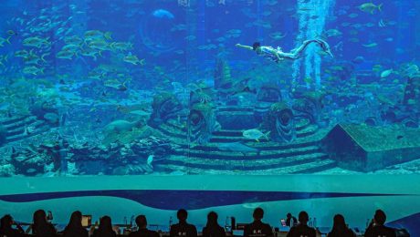 Çin Kültür Merkezi