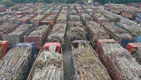 Çin Kültür Merkezi