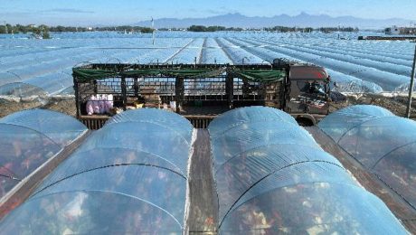 Çin Kültür Merkezi