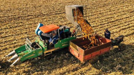 Çin Kültür Merkezi