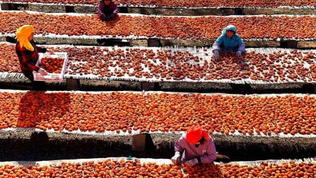 Çin Kültür Merkezi