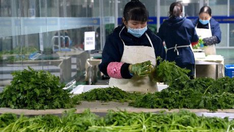 Çin Kültür Merkezi