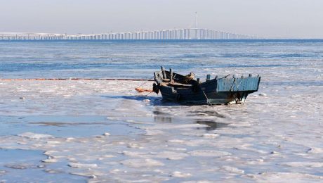 Çin Kültür Merkezi