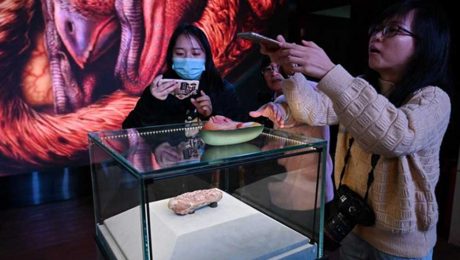 Çin Kültür Merkezi