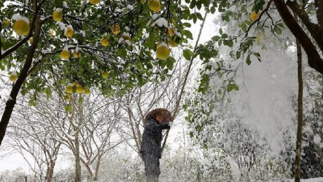 Çin Kültür Merkezi