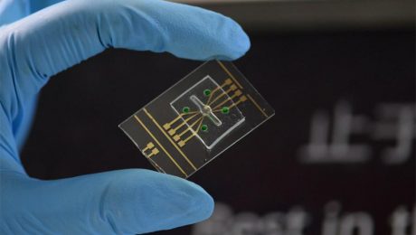 Çin Kültür Merkezi