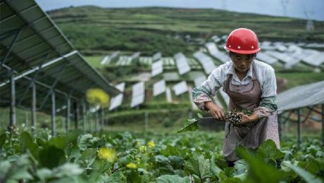 Çin Kültür Merkezi